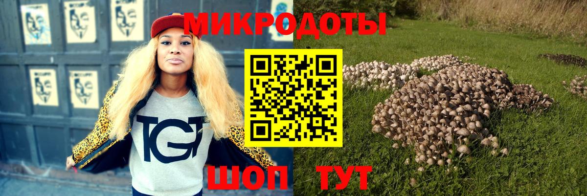 Галлюциногенные грибы прущие грибы Отрадный