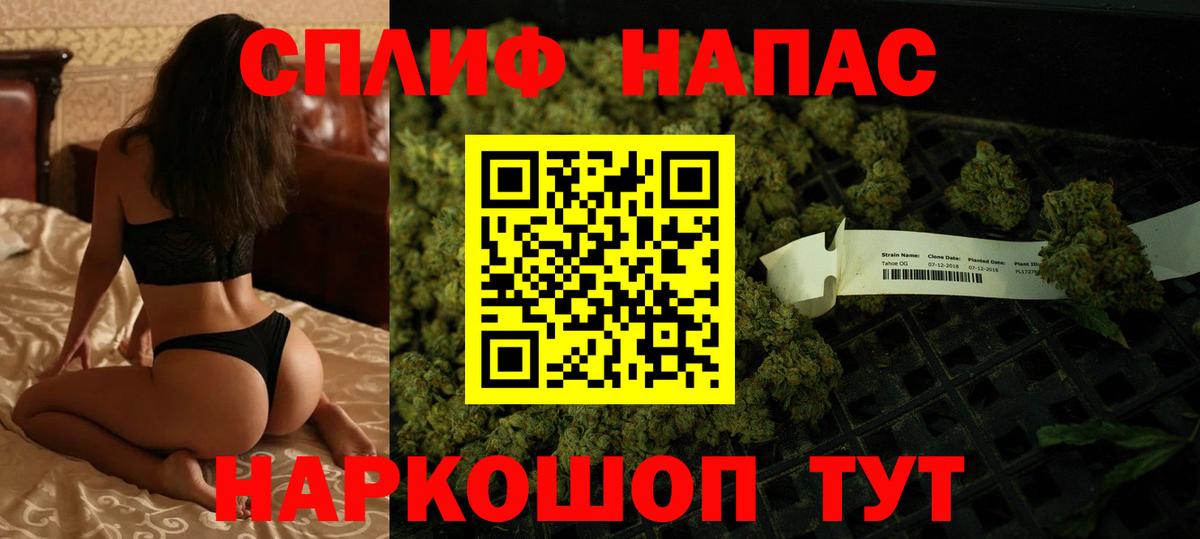 Конопля OG Kush Отрадный