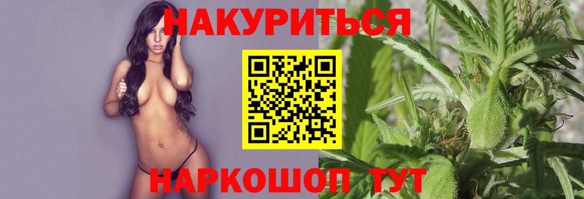 Марихуана Amnesia  Канабис планчик  Вход с VPN  Отрадный 